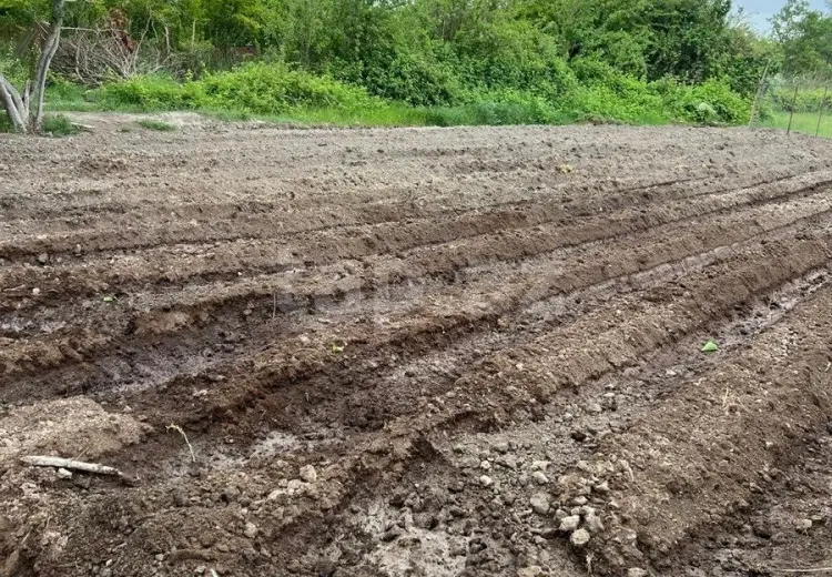 3 otaqlı mənzil , Salyan