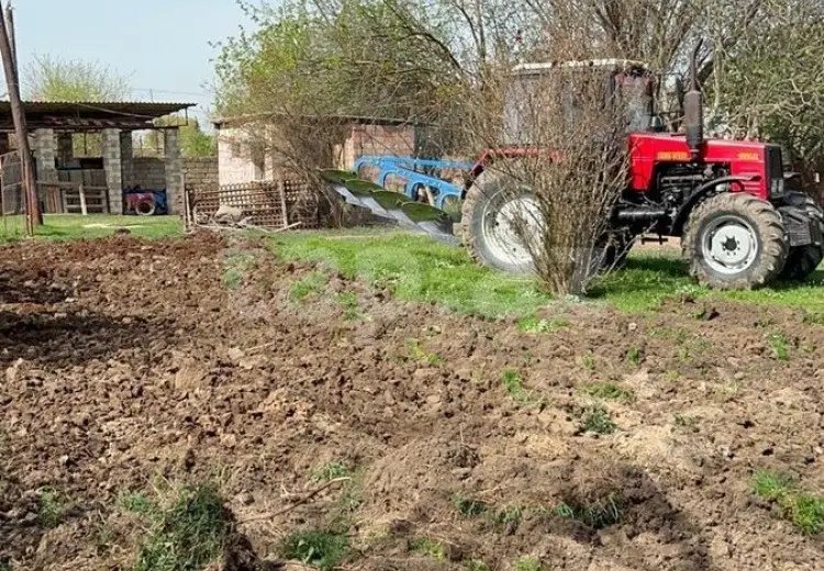 3 otaqlı mənzil , Salyan
