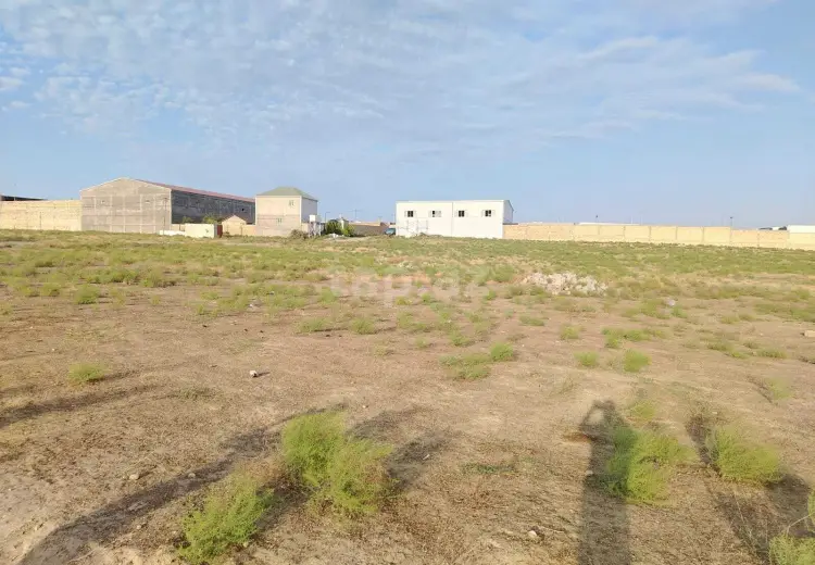 0 m² Obyekt / Ofis , Saray, Abşeron