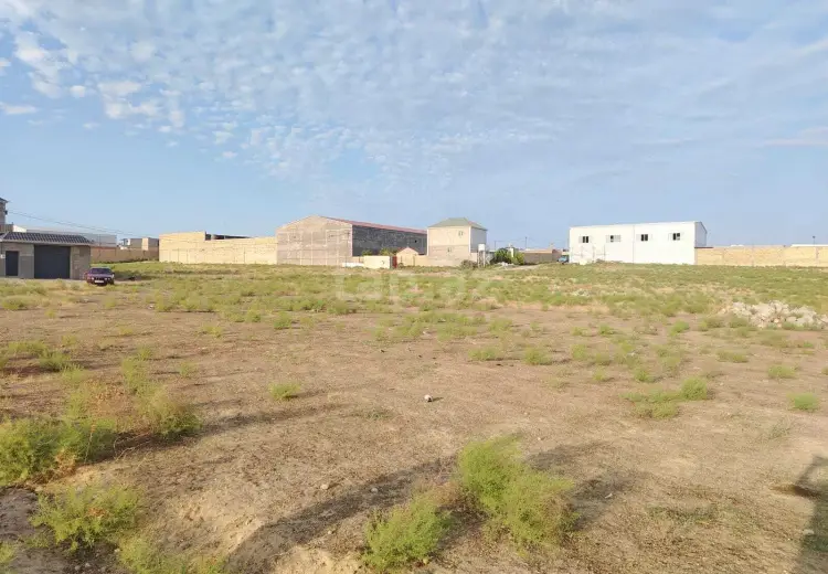 0 m² Obyekt / Ofis , Saray, Abşeron