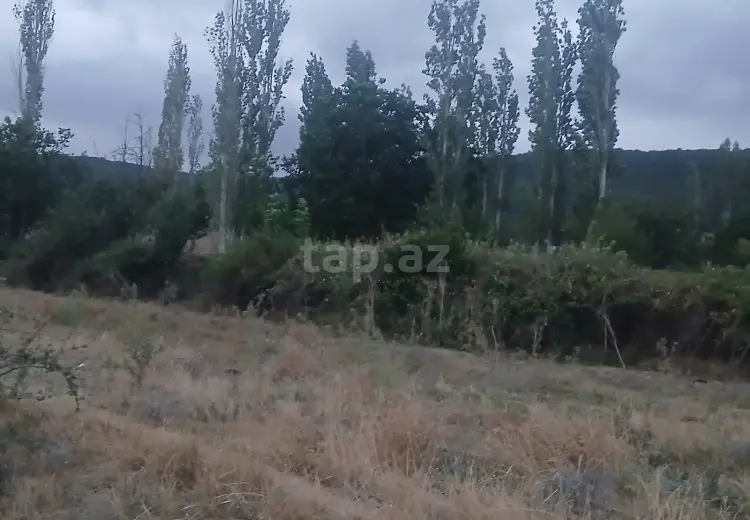 0 m² Obyekt / Ofis , Şamaxı
