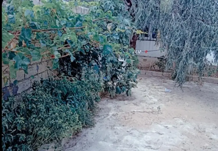 0 m² Obyekt / Ofis , Mərdəkan, Xəzər, Bakı