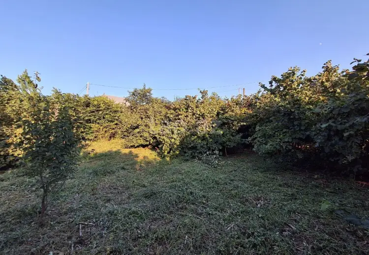 0 m² Obyekt / Ofis , Xaçmaz