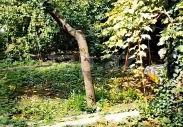 5 otaqlı mənzil , Quba