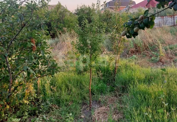 0 m² Obyekt / Ofis , Sumqayıt