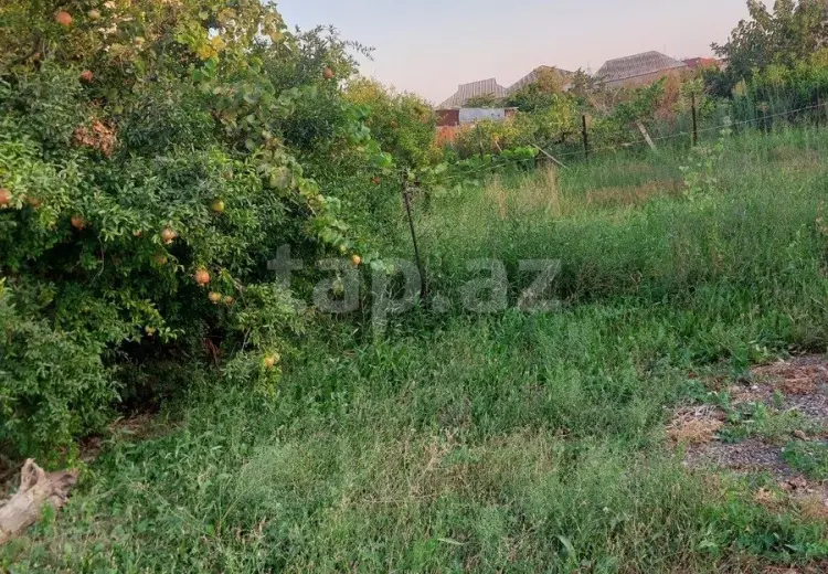 0 m² Obyekt / Ofis , Sumqayıt