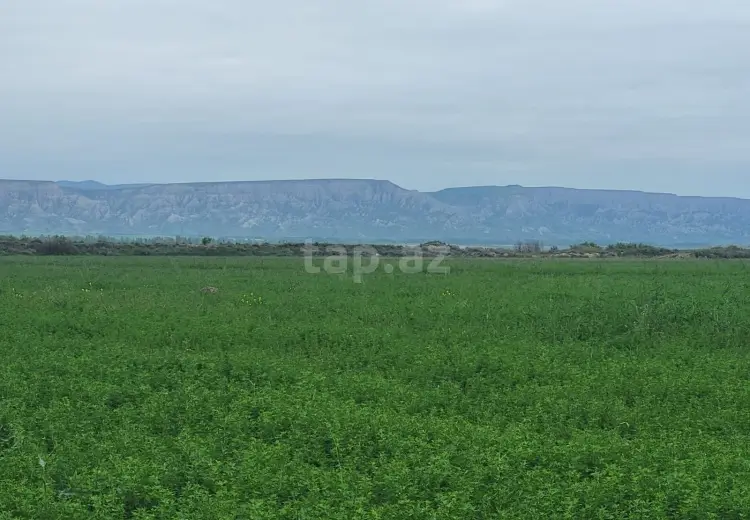 0 m² Obyekt / Ofis , Ağsu