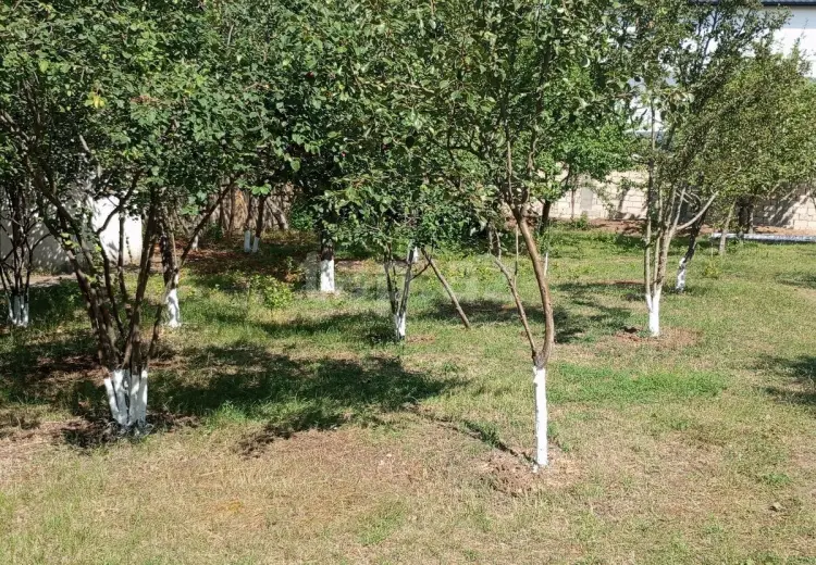 4 otaqlı mənzil , Şamaxı
