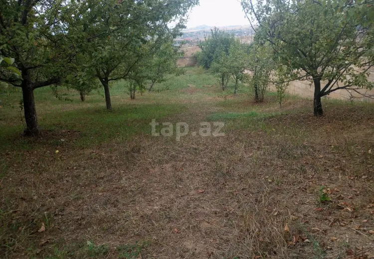 4 otaqlı mənzil , Şamaxı