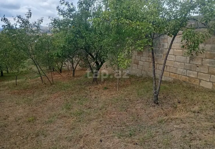 4 otaqlı mənzil , Şamaxı