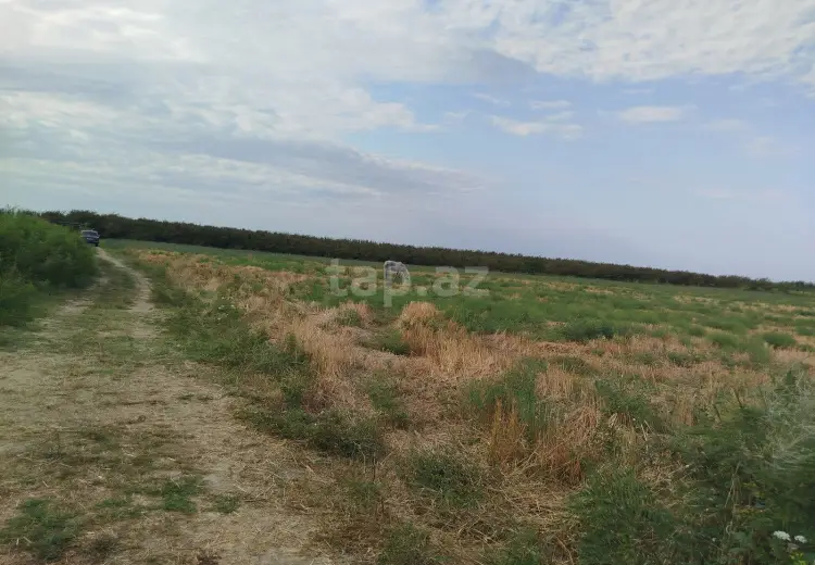0 m² Obyekt / Ofis , Xaçmaz