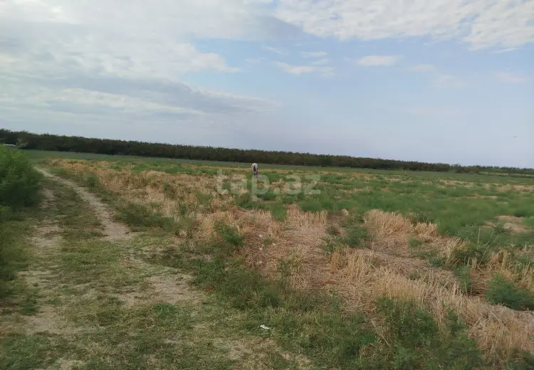 0 m² Obyekt / Ofis , Xaçmaz