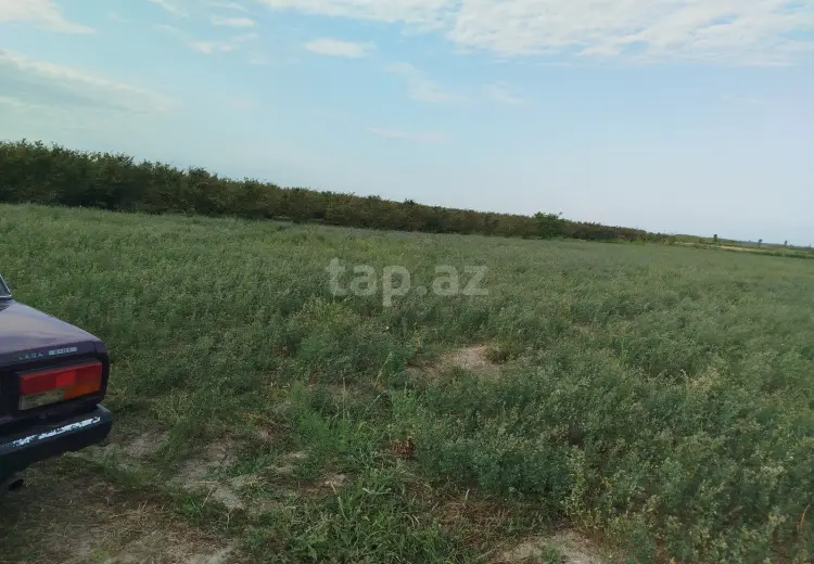 0 m² Obyekt / Ofis , Xaçmaz