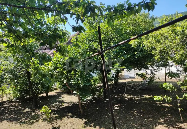 4 otaqlı mənzil , Şəki