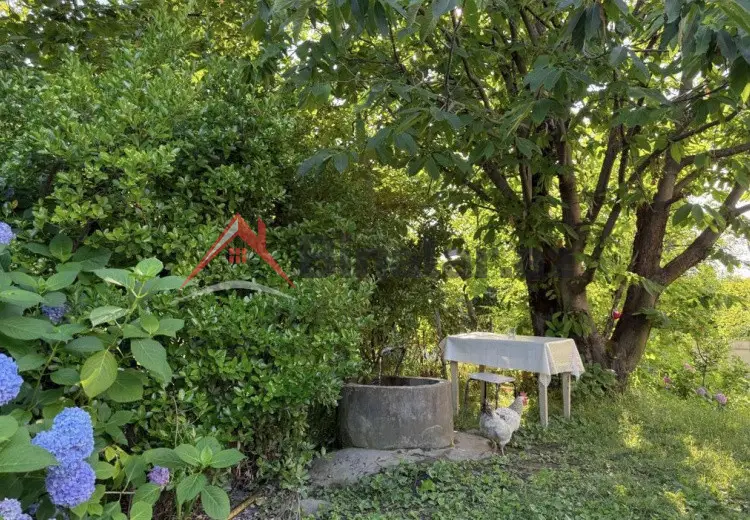 60 AZN - 2 otaqlı mənzil Kirayə (aylıq), Zaqatala