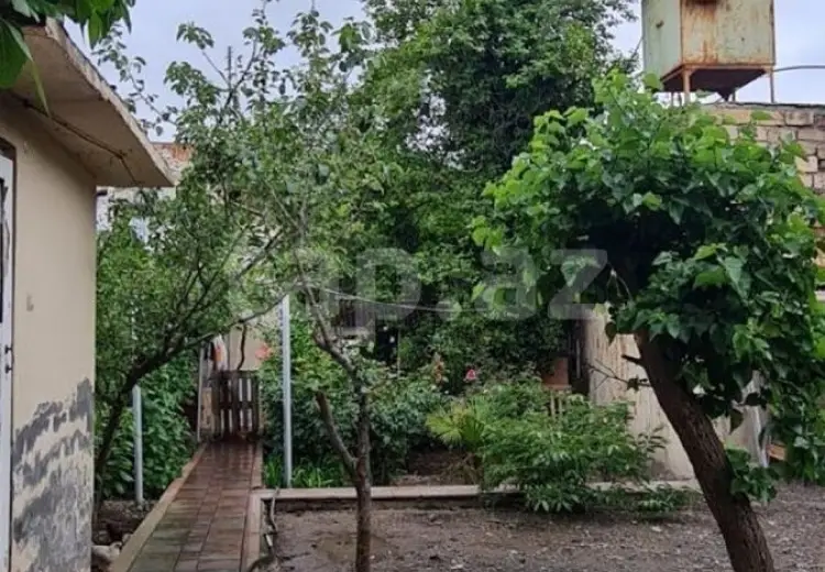 3 otaqlı mənzil , Gəncə
