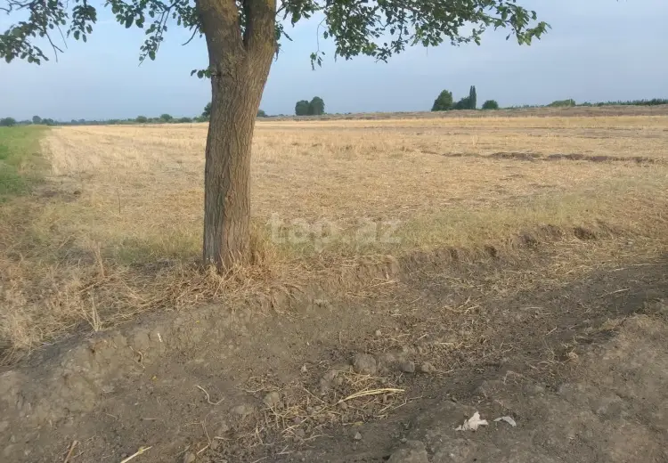 0 m² Obyekt / Ofis , Tərtər