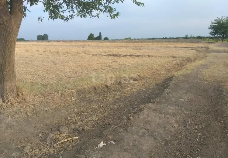0 m² Obyekt / Ofis , Tərtər