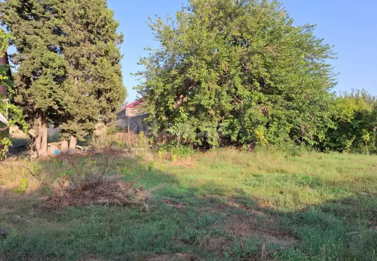 0 m² Obyekt / Ofis , Novxanı, Abşeron