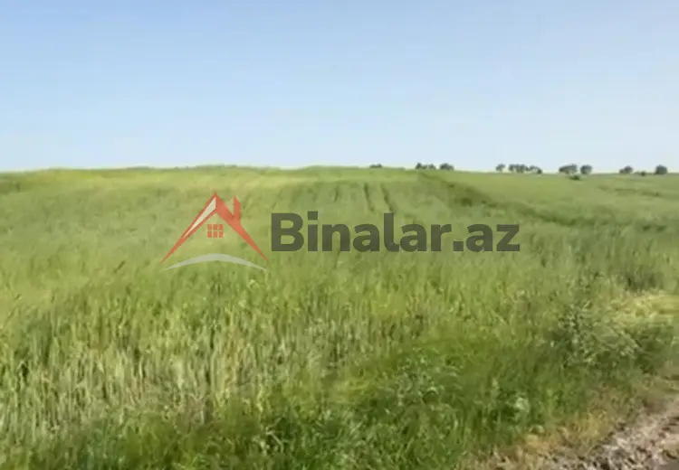 132 sot Torpaq Satılır, Sumqayıt