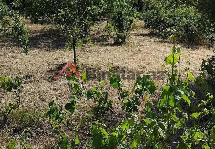 3 sot Torpaq Satılır, Sumqayıt