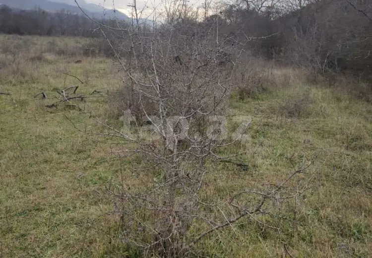 0 m² Obyekt / Ofis , Qusar