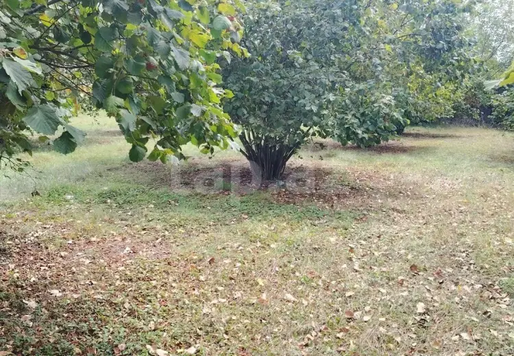 0 m² Obyekt / Ofis , Qəbələ