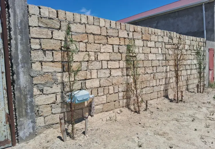 0 m² Obyekt / Ofis , Saray, Abşeron