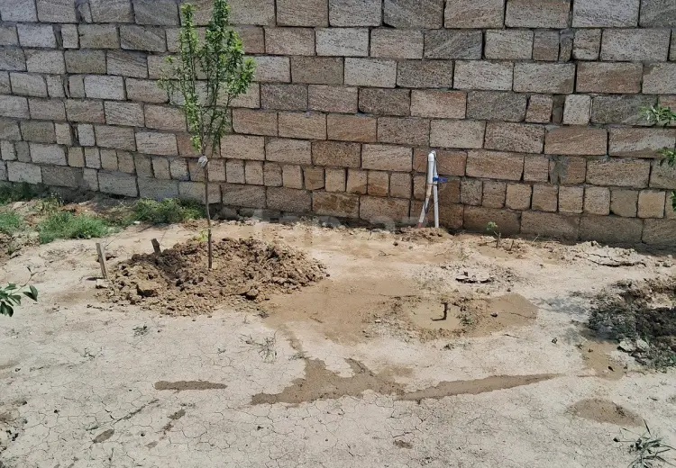 0 m² Obyekt / Ofis , Saray, Abşeron