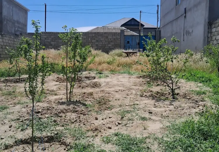 0 m² Obyekt / Ofis , Saray, Abşeron