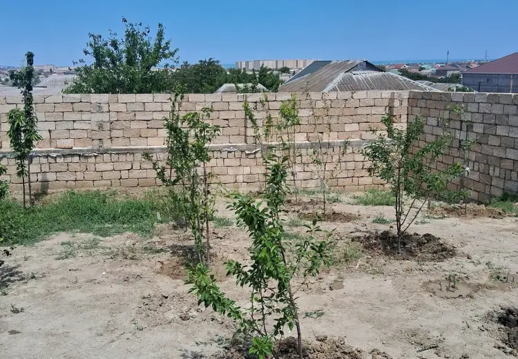 0 m² Obyekt / Ofis , Saray, Abşeron