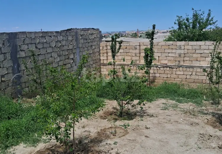 0 m² Obyekt / Ofis , Saray, Abşeron