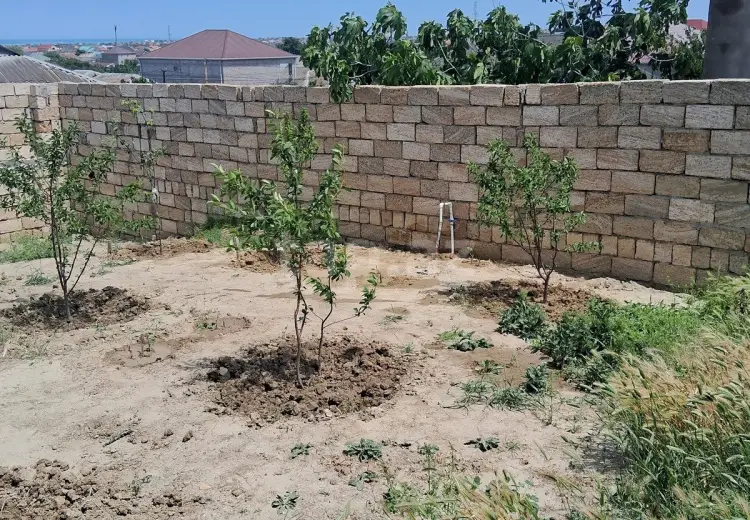 0 m² Obyekt / Ofis , Saray, Abşeron