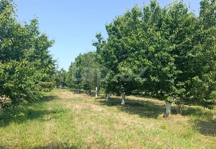 0 m² Obyekt / Ofis , Xaçmaz