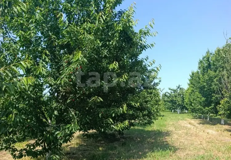 0 m² Obyekt / Ofis , Xaçmaz