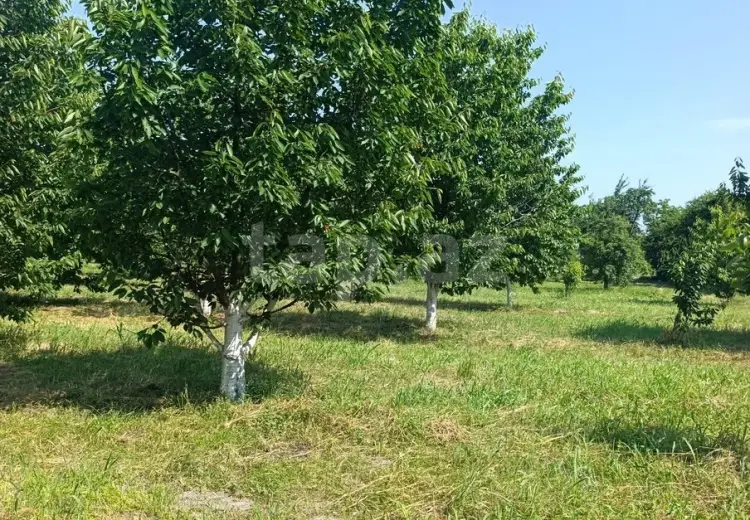 0 m² Obyekt / Ofis , Xaçmaz