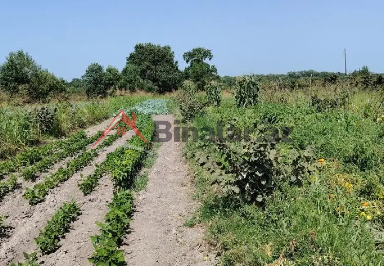 0 sot Torpaq Satılır, Xaçmaz