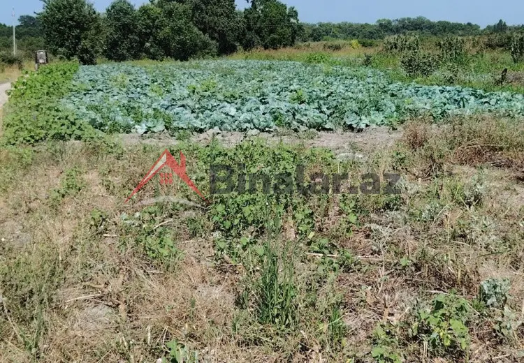 0 sot Torpaq Satılır, Xaçmaz