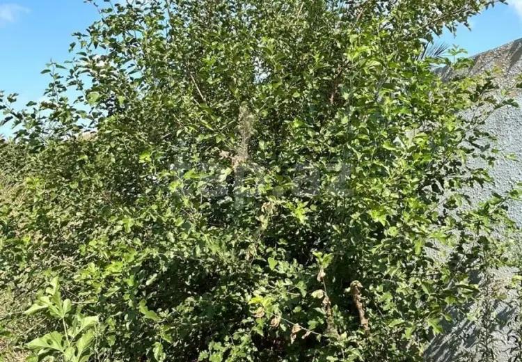 0 m² Obyekt / Ofis , Məştağa qəs., Sabunçu, Bakı