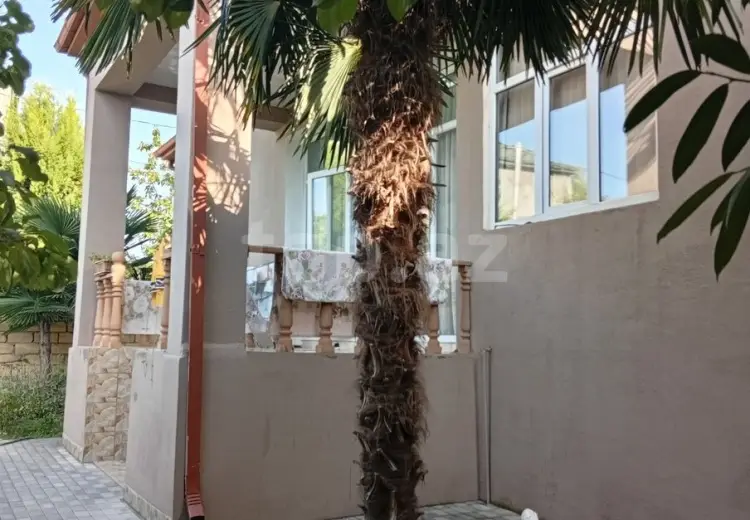 7 otaqlı mənzil , Zaqatala