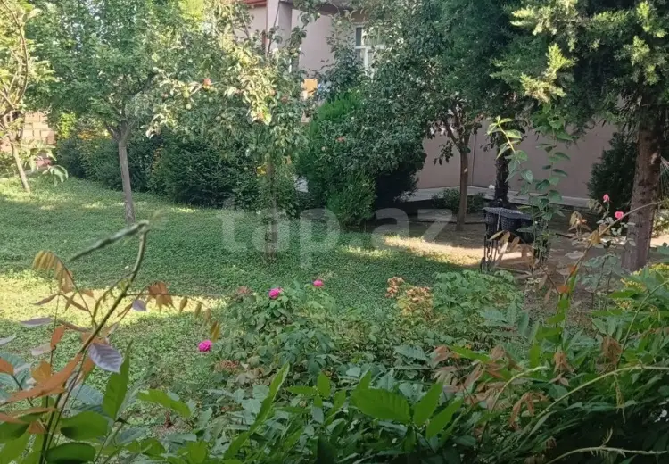 7 otaqlı mənzil , Zaqatala