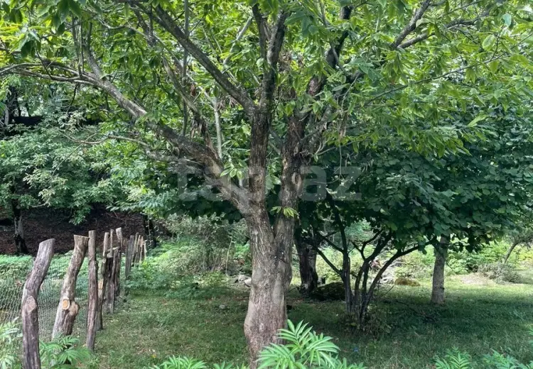0 m² Obyekt / Ofis , Bakı