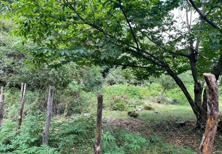 0 m² Obyekt / Ofis , Bakı
