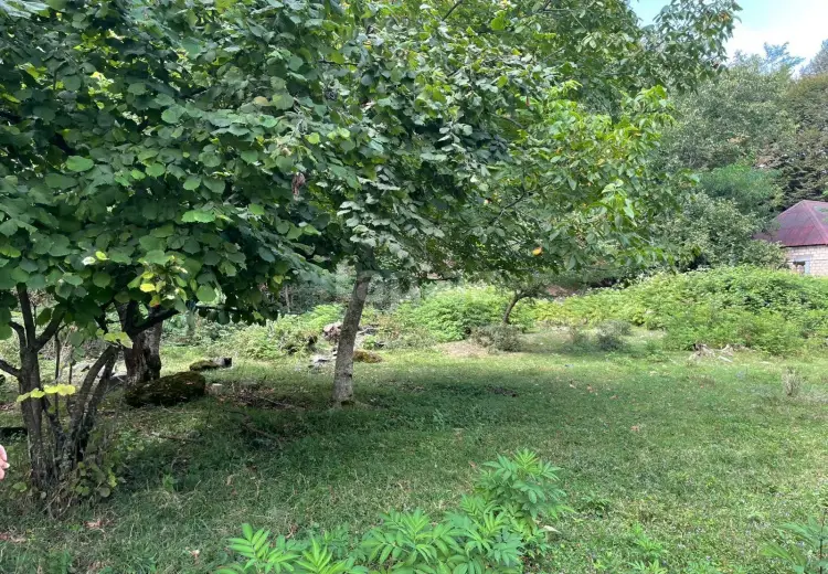 0 m² Obyekt / Ofis , Bakı