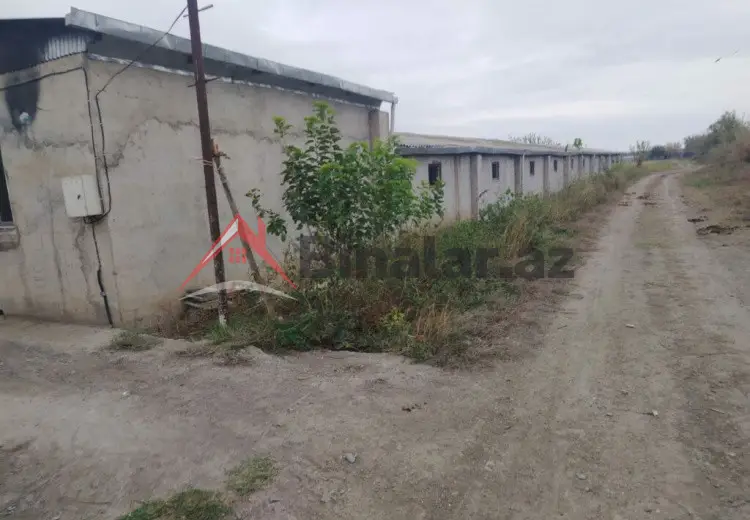 2000 m² Obyekt / Ofis Kirayə (aylıq), Bərdə