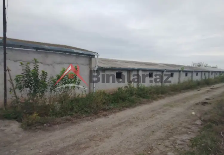 2000 m² Obyekt / Ofis Kirayə (aylıq), Bərdə