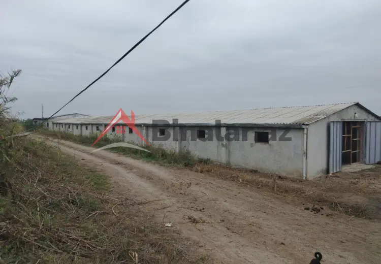2000 m² Obyekt / Ofis Kirayə (aylıq), Bərdə