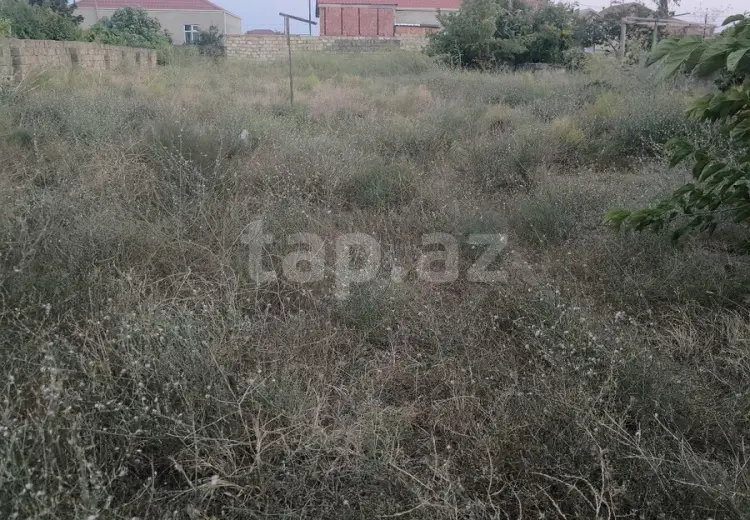 0 m² Obyekt / Ofis , Novxanı, Abşeron