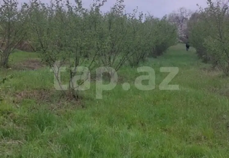 0 m² Obyekt / Ofis , Xaçmaz