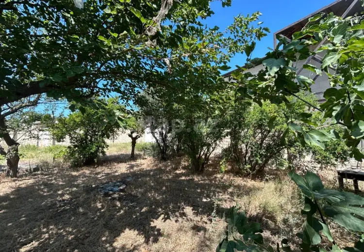 0 m² Obyekt / Ofis , Bilgəh qəs., Sabunçu, Bakı